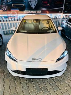 بي واي دي سيل 06 DM-i